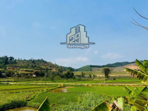 Bán đất tân lạc Hoà Bình Chính Chủ – S=438m2