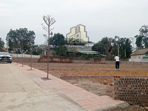 Bán 1 lô duy nhất Lương Sơn Hòa bình -S=143.9m2