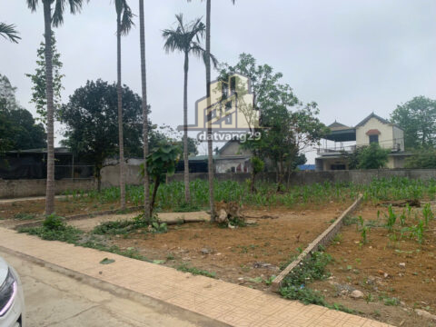 Bán đất Lương Sơn Hòa Bình Vô Cùng Tiềm Năng – S=217m2