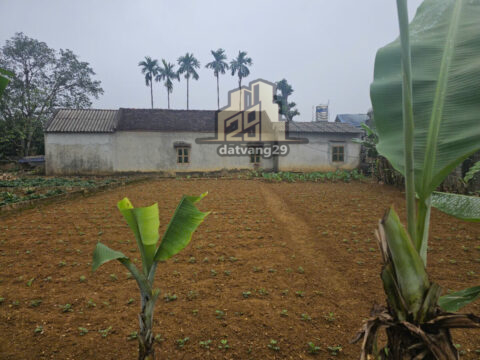 Bán Đất Tân Tiến Chương Mỹ Hà Nội – S=250m2