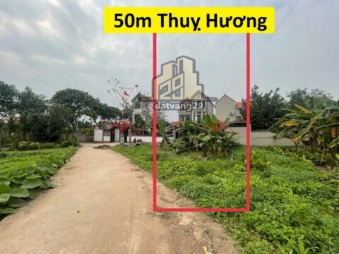 Bán đất full thổ cư thụy hương chương mỹ hà nội – S=50m2