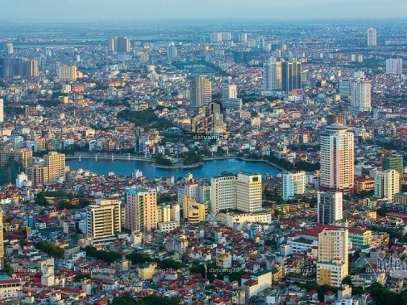 Xu hướng mới đang định hình thị trường