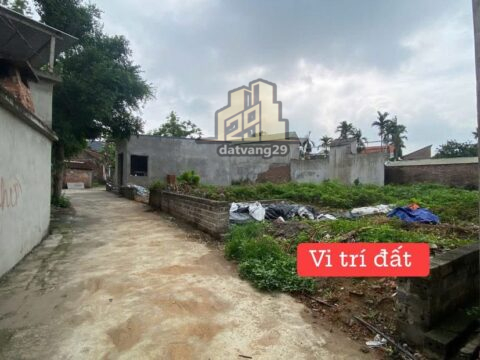 Bán Đất Đông Phương Yên Chương Mỹ Hà Nội – Giá Tốt – Sổ Đỏ Chính Chủ S=52,4m²