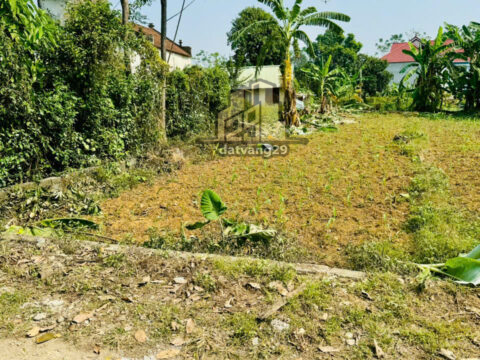 Bán đất thổ cư Văn Sơn -Hoàng Văn Thụ– giá tốt cho nhà đầu tư   S=216,2m2