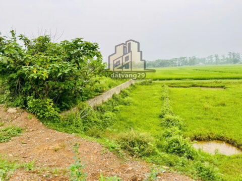 Bán đất thổ cư Trũng Mét Hoàng Văn Thụ – ô tô tránh nhau – giá cực tốt