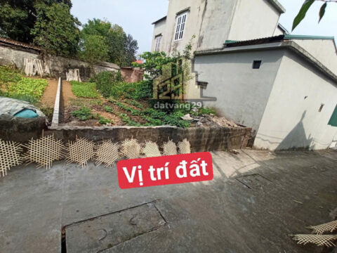 CHÍNH CHỦ BÁN GẤP LÔ ĐẤT THỔ CƯ 100m² TẠI THÔN ĐỒI CHÈ – THANH BÌNH – CHƯƠNG MỸ – HÀ NỘI 🏡