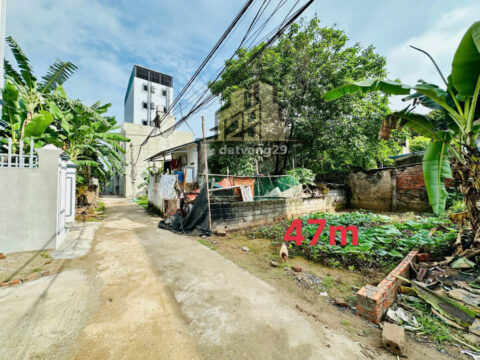 BÁN ĐẤT THỔ CƯ TẠI PHỤNG CHÂU – CHƯƠNG MỸ – HÀ NỘI – ĐƯỜNG Ô TÔ TRÁNH – GẦN KHU DÂN CƯ ĐÔNG ĐÚC