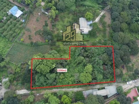 BÁN ĐẤT THỔ CƯ THUỶ XUÂN TIÊN, CHƯƠNG MỸ – PHÂN LÔ CỰC ĐẸP ,ĐƯỜNG Ô TÔ CHẠY QUANH ĐẤT  S=2200m2