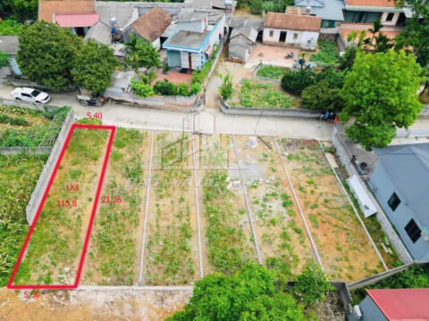 Bán đất Tân Tiến Chương Mỹ – 115.8m², thổ cư đẹp, sẵn sổ đỏ, giá cực tốt