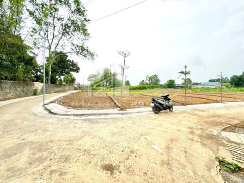  Bán Đất Phân Lô Lương Sơn – Kinh Doanh Tốt – Sổ Đỏ Chính Chủ S=124,5m2