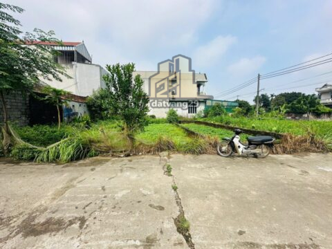 Bán đất đẹp Hoàng Văn Thụ – Chương Mỹ, 60m² vuông vắn, ngõ thông 6m