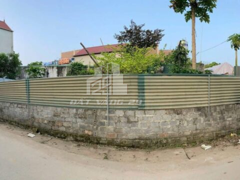 Bán Đất Thổ Cư Tân Tiến Chương Mỹ – 100m² Full Thổ Cư, Gần Trung Tâm, Sổ Đỏ Chính Chủ