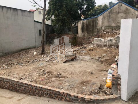 Bán Đất Thổ Cư Phụng Châu – Chương Mỹ – 79m² Vuông Vắn – Pháp Lý Chuẩn