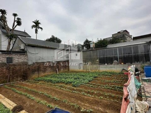 BÁN ĐẤT THỔ CƯ ĐÔNG SƠN – GIÁ TỐT CHO NHÀ ĐẦU TƯ – SỔ ĐỎ CHÍNH CHỦ S=100M