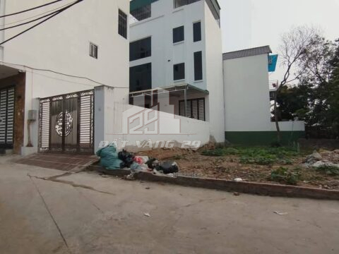 BÁN LÔ ĐẤT THỔ CƯ PHỤNG CHÂU – 120M² – GẦN TRỤC CHÍNH – ĐẦU TƯ SINH LỜI