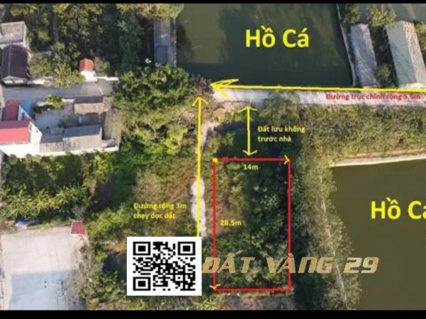 Bán Đất Trần Phú – 3 Mặt Thoáng, Vị Trí Đắc Địa, Giá Hơn Tốt