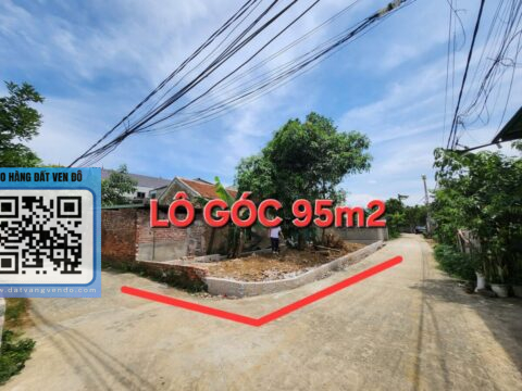 Bán đất Đông Phương Yên Chương Mỹ – Thổ cư Diện tích 95m², gần trường học và UBND xã!