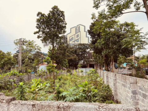 Bán Lô Góc Thuỷ Xuân Tiên Full Thổ Cư – Trục Chính Xuân Sen    S=88,8