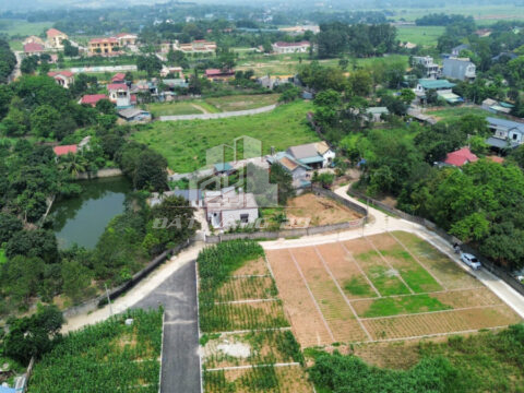 Bán Đất Nền Liền Kề Lương Sơn – Vị Trí Đẹp – Pháp Lý Rõ Ràng S=119,8m2