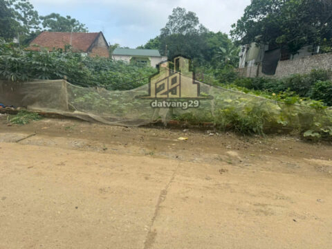 Bán Đất Full Thổ Cư Hoàng Văn Thụ – Mặt Đường Rộng, 2 Mặt Tiền   S=420m2