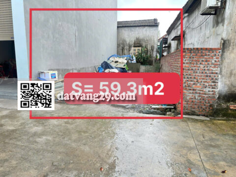 BÁN ĐẤT THỔ CƯ XÃ NGỌC HOÀ – CHƯƠNG MỸ 59,3m² Sổ đỏ chính chủ – Sẵn sàng sang tên công chứng