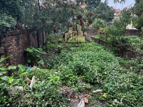 Bán Đất Hoàng Văn Thụ 75m² Full Thổ Cư – Gần Chợ Văn Phú – Ô Tô Vào Nhà