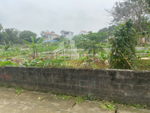 Bán đất Hoàng Văn Thụ – Lô Góc 2 Mặt Tiền – Gần Quốc Lộ 21 – S=117,3m²