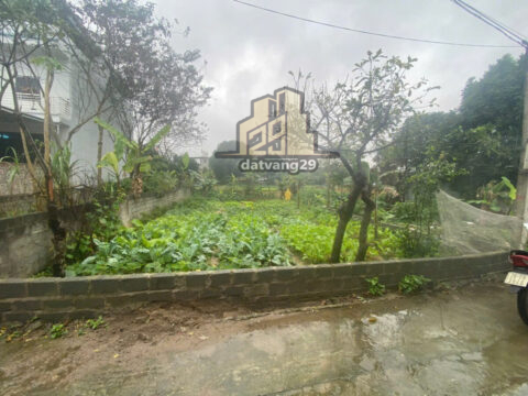 Bán Đất Tại Thủy Xuân Tiên – Chương Mỹ – Vị Trí Đẹp, Giá Tốt   S=241,6