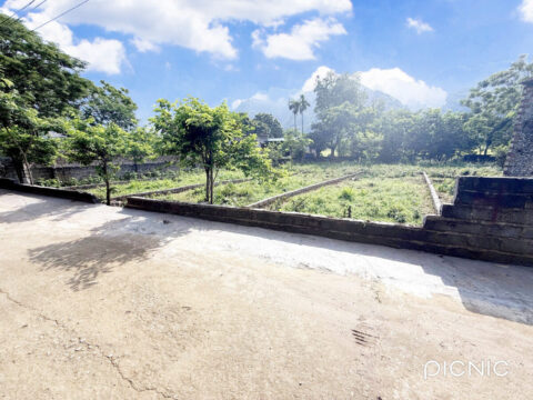 Bán đất Quèn Thị, Lương Sơn – 98.3m² có 66m² thổ cư, sổ đỏ cầm tay