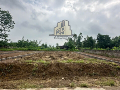 Bán Đất Thổ Cư Thôn Đồi Mít – Không Gian Trong Lành, Mặt Tiền Rộng, Tiện Nghi Đầy Đủ   243,7m²