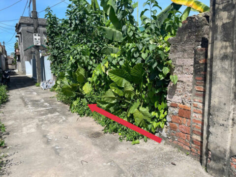 Bán đất Xuy Xá, Mỹ Đức – 96m² thổ cư, đường thông, ô tô đỗ cửa