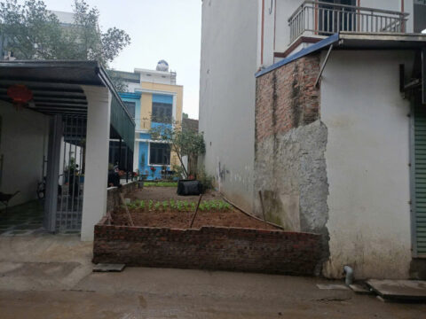 Cơ hội sở hữu lô đất Phụng Châu – Gần chợ, trường học, dân cư đông   S=60m2