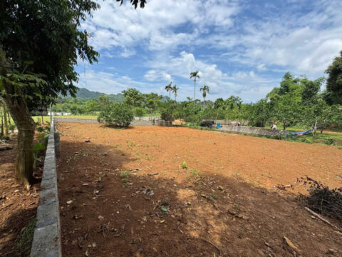 Bán đất thổ cư xã Hợp Phong, Cao Phong – Gần Quốc lộ 6, giá siêu hợp lý!   S=618m2