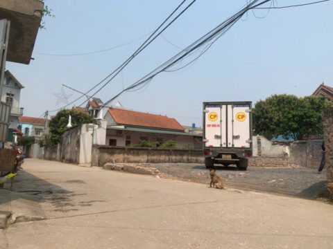 Bán nhanh lô góc xã Ngọc Hòa – ô tô tránh nhau, vuông vắn, cực thoáng    S=120m2