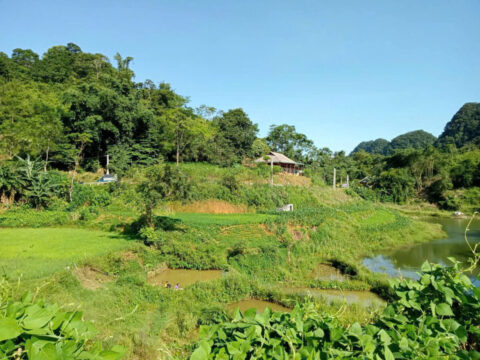 Bán đất Tân Lạc Hòa Bình – Gần hồ, 1.118m² cực thoáng, vị trí quá lý tưởng để ở