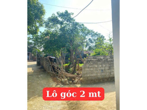 Bán đất Thổ cư Hoàng Văn Thụ – Lô đẹp trung tâm xã, ngõ thông, hợp lý! S=88m2