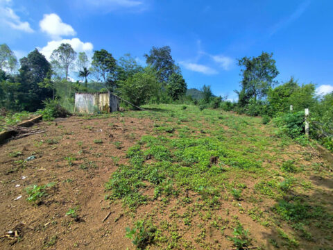 Bán đất Lạc Sơn Hòa Bình – 200m² thổ cư, đất vườn thoáng mát  S=941.8m2