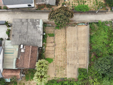 Bán đất Tân Tiến Chương Mỹ – Diện tích 126m², vị trí đẹp, sổ đỏ chính chủ