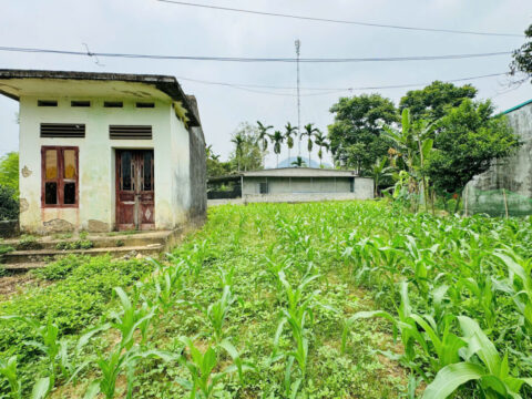 Bán Đất Kim Bôi Hòa Bình sát Quốc lộ 12B – Vị trí đẹp, thuận tiện kinh doanh, dân cư phát triển   S=93.2m2