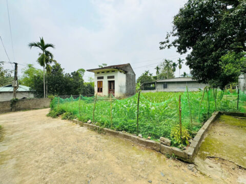 Bán đất Kim Bôi, Hòa Bình – Cách Quốc lộ 12B chỉ vài trăm mét, đất tiềm năng đầu tư   S=134.8m2