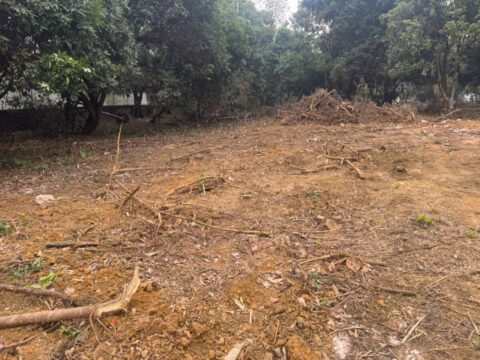 Bán đất Thủy Xuân Tiên Chương Mỹ – 6002m², 2 mặt đường lớn, chỉ cách HCM 300m