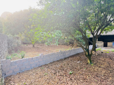 Bán đất Thanh Sơn, Lương Sơn Hòa Bình – Gần chợ, gần trường, đường rộng, đầu tư sinh lời   S=80m2