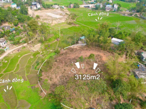 Bán đất Kim Bôi Hòa Bình – Lô 3.125m² gần dự án Sun Group, view cánh đồng đẹp