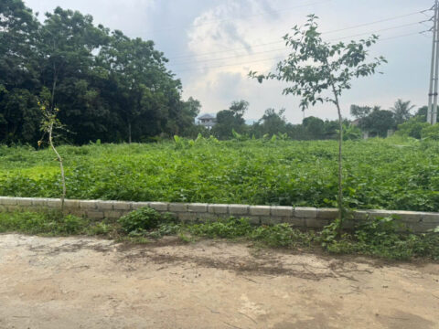 Bán Đất Trần Phú Chương Mỹ 936m² – 2 Mặt Đường, 212m² Thổ Cư, Lô Góc Siêu Đẹp