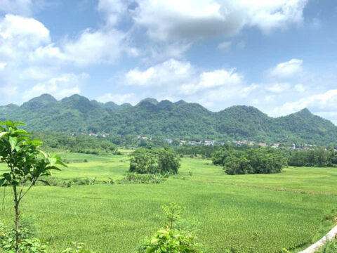 Bán Đất Kim Bôi Hòa Bình – Lô Góc 1.772m² Cao Ráo, Đường Thông, Giá Đầu Tư Sinh Lời Cao