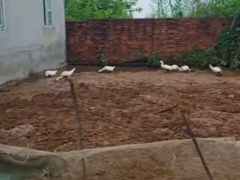 Bán đất Hợp Tiến Mỹ Đức – Đất thổ cư 70m², đường ô tô vào tận nơi, tiện ích đầy đủ