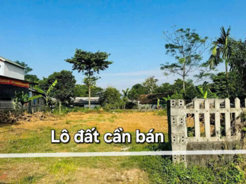 Bán đất Lương Sơn Hòa Bình – Lô 578m², có 150m² thổ cư, bám đường liên huyện cực đẹp