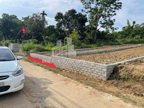 Mua Bán Đất Thổ Cư Nam Phương Tiến – Chương Mỹ – Gần Hà Nội – Đất Đẹp Giá Tốt  S=125.8m2