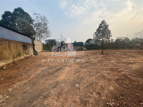 Bán đất Đại Yên Chương Mỹ – Lô rộng 340m², mặt tiền đẹp, đất vuông vắn, sổ đỏ chính chủ