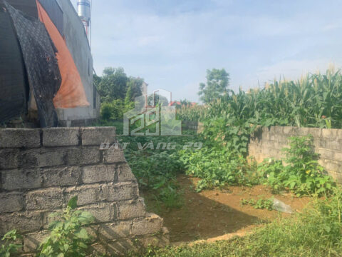 Bán Đất Hoàng Văn Thụ Chương Mỹ – 130.5m² – Giá Tốt – Gần Đường Lớn, Dân Cư Đông